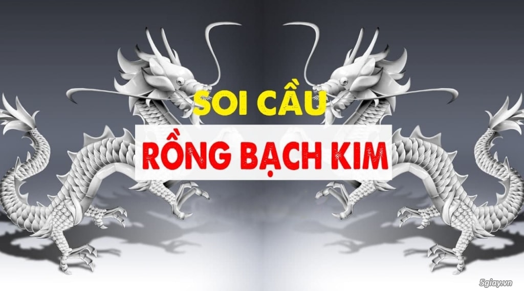 Soi Cầu Rồng Bạch Kim Cùng Nhiều Lời Khuyên Hữu Ích